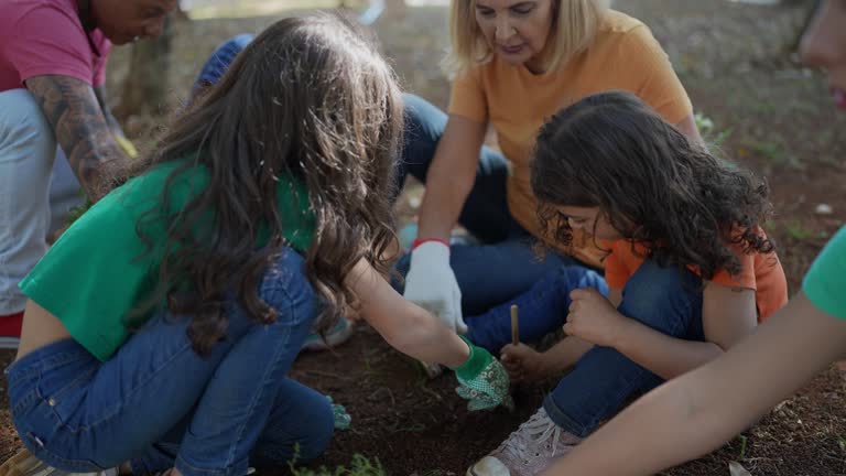 How Our Tree Care Process Works  in  Cold Springs, NV